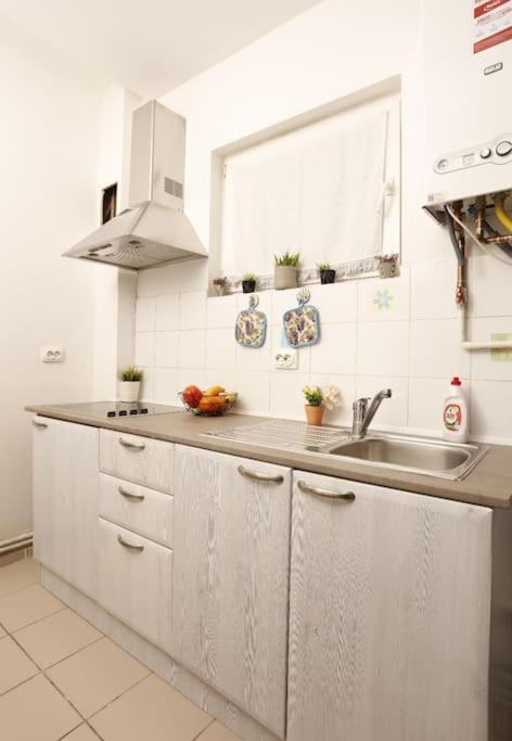 1 Bdrm Apartment In City Center 布加勒斯特 外观 照片